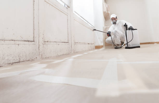 Certified remediation work in District of Columbia, DC
